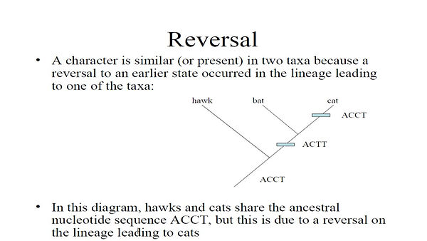 Slide27.JPG