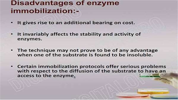 Slide37.JPG