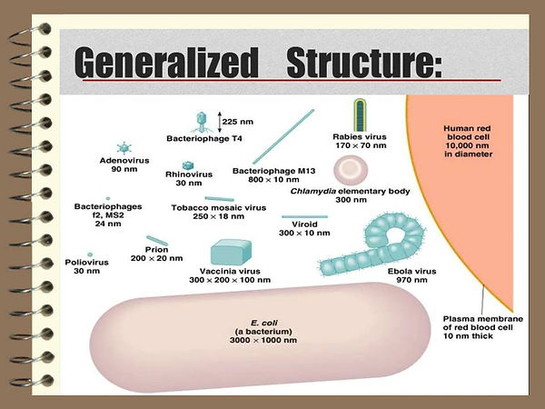 Slide28.JPG