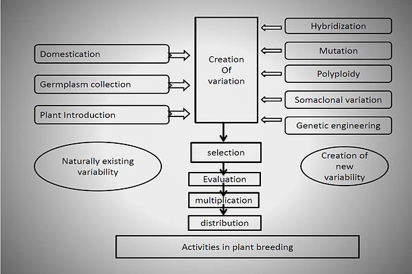 Slide52.JPG