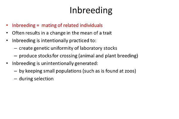 Slide2.JPG