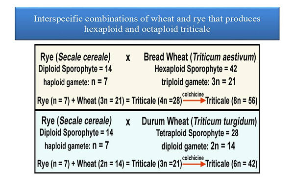Slide87.JPG