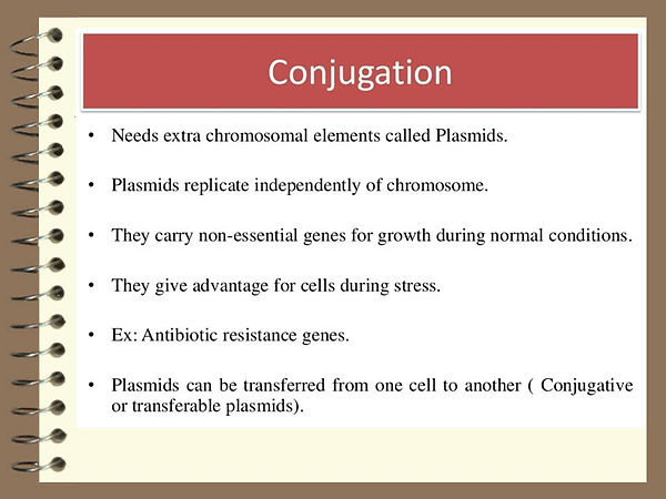 Slide208.JPG