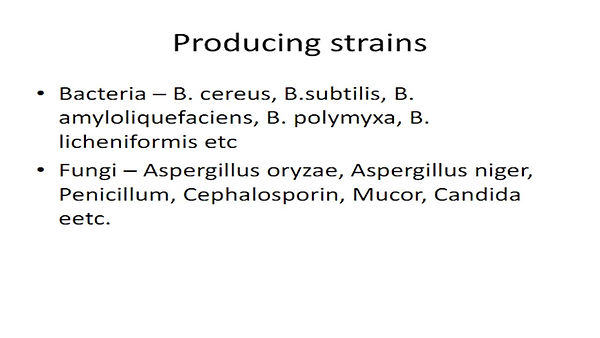 Slide139.JPG