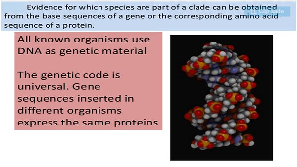 Slide36.JPG