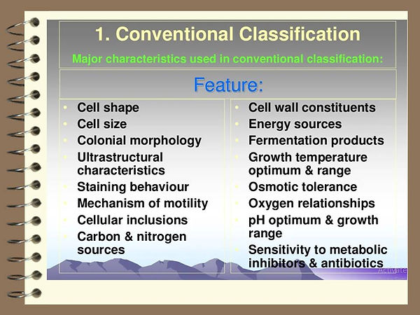 Slide33.JPG