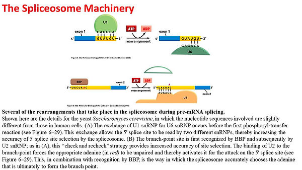 Slide32.JPG