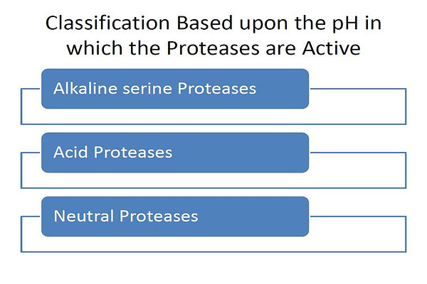 Slide201.JPG