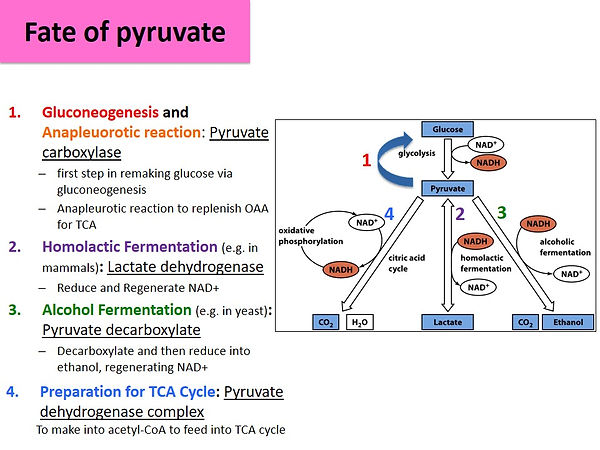 Slide6.JPG