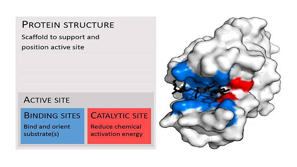 Slide3.JPG