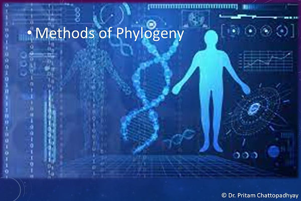 Slide16.JPG