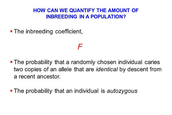 Slide22.JPG