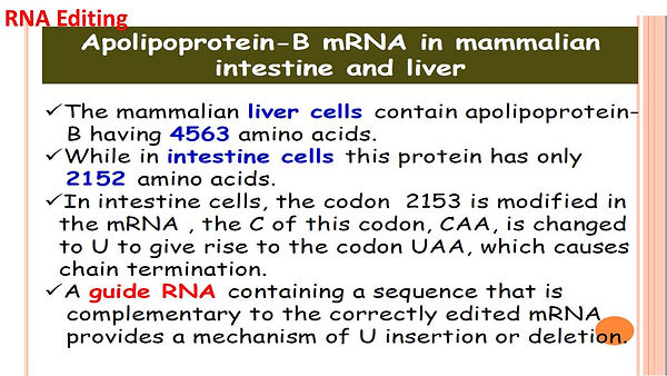 Slide84.JPG