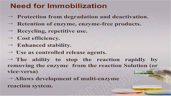 Slide34.JPG