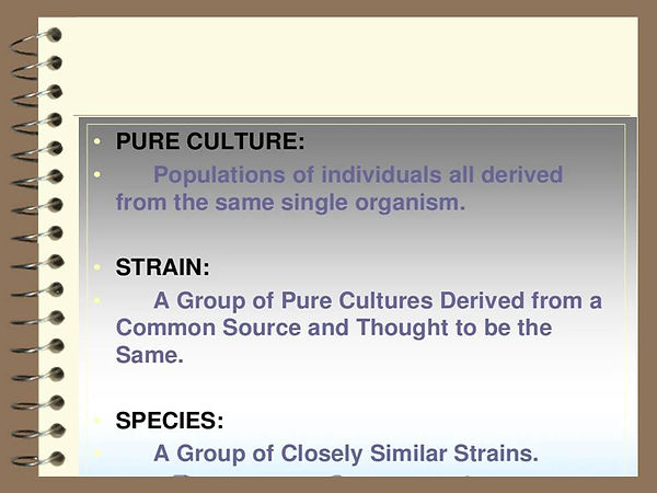 Slide38.JPG