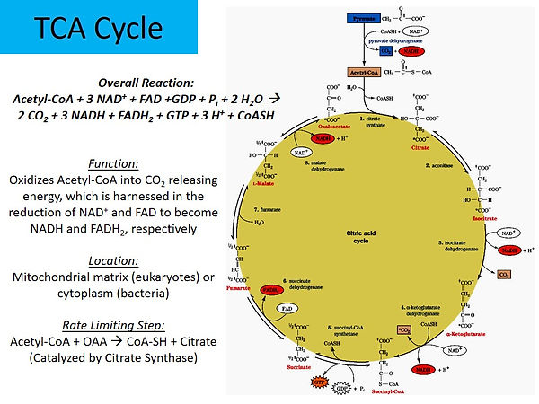 Slide2.JPG