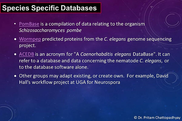 Slide44.JPG