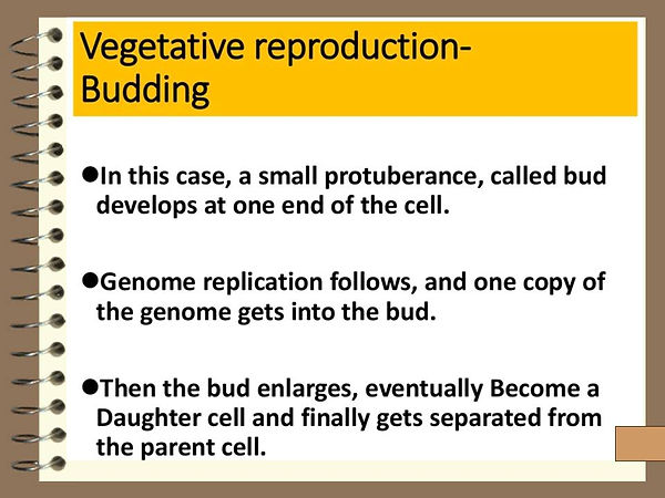Slide178.JPG