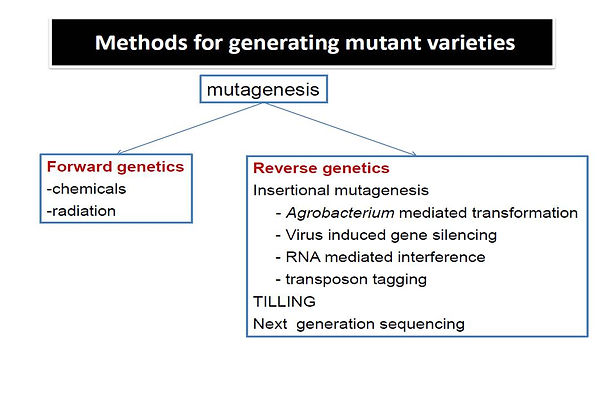 Slide14.JPG