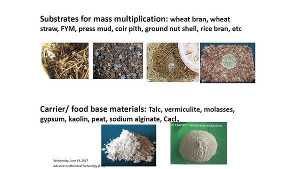 Slide162.JPG