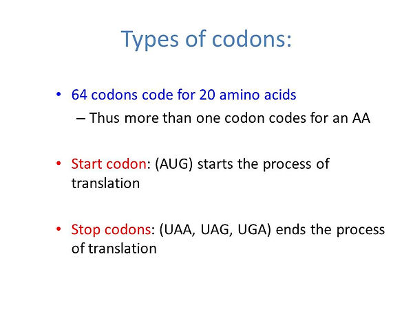 Slide22.JPG