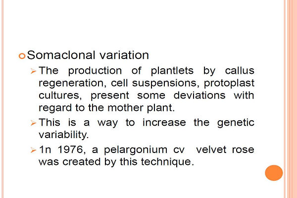Slide122.JPG