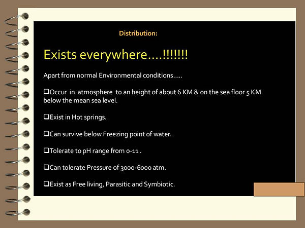 Slide84.JPG