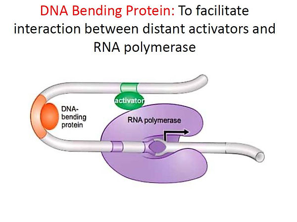 Slide66.JPG