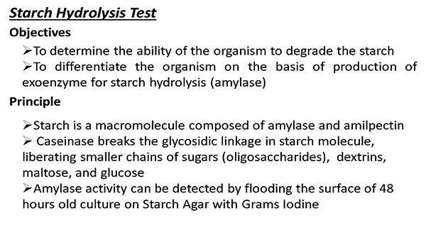 Slide20.JPG