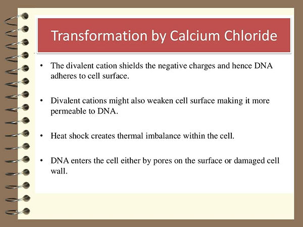 Slide206.JPG