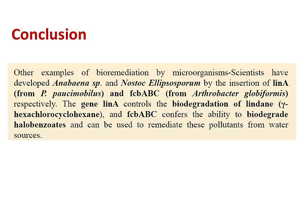 Slide132.JPG