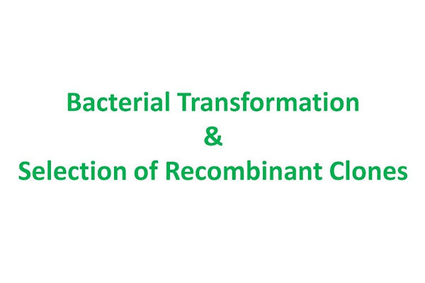 Slide16.JPG
