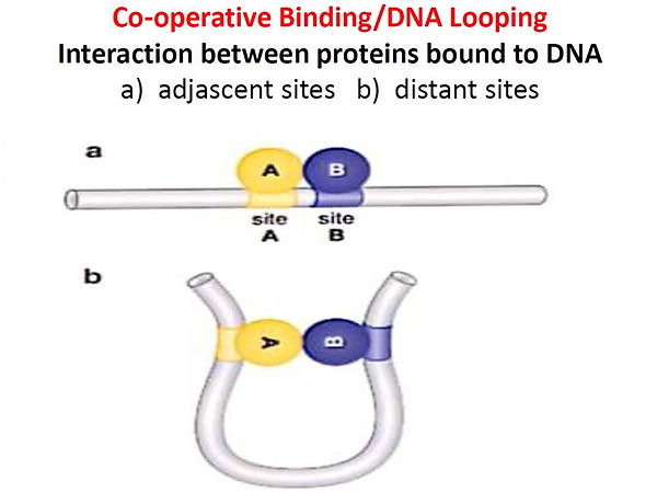Slide65.JPG