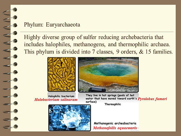 Slide76.JPG