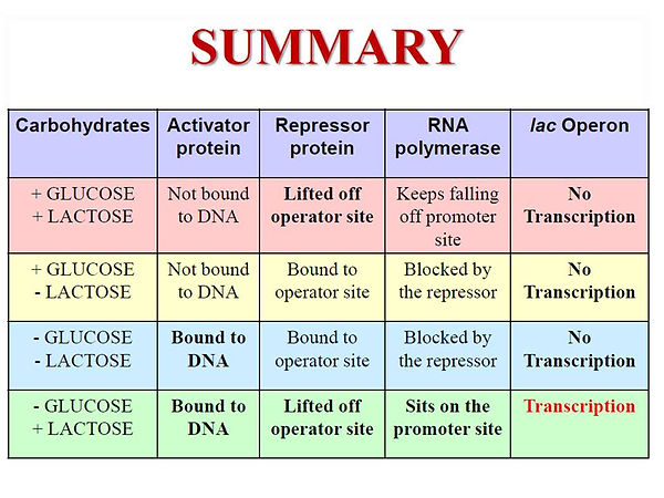 Slide93.JPG