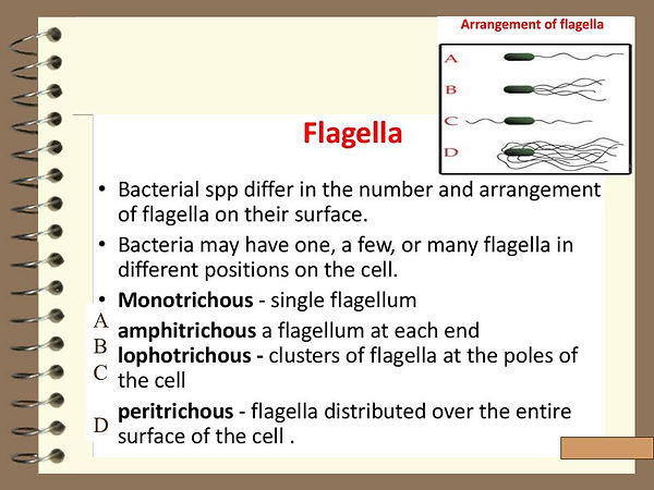 Slide113.JPG