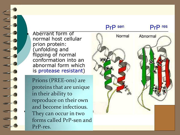 Slide77.JPG