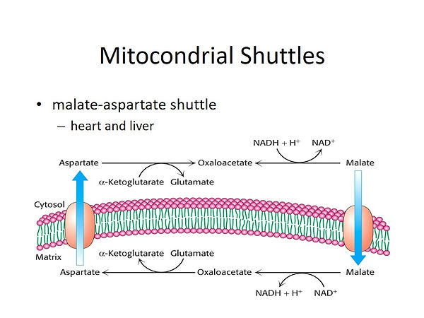 Slide45.JPG