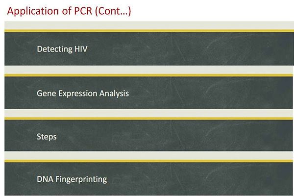 Slide118.JPG