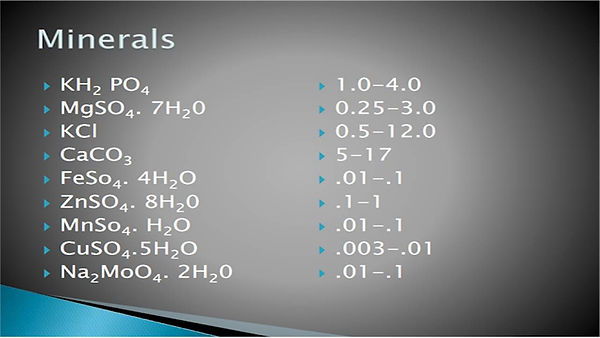 Slide25.JPG