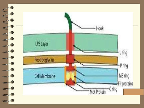 Slide112.JPG