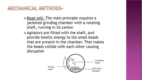 Slide63.JPG