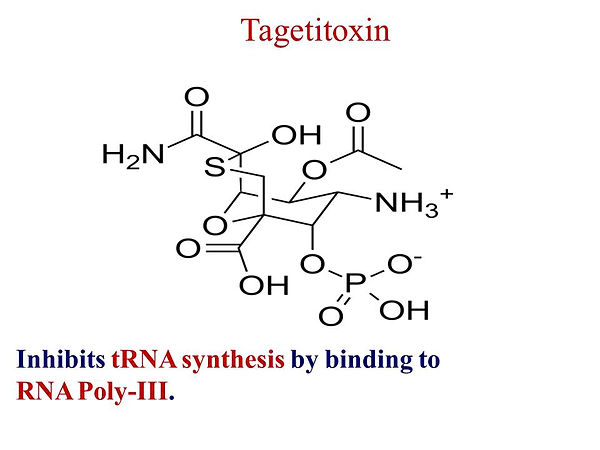Slide51.JPG