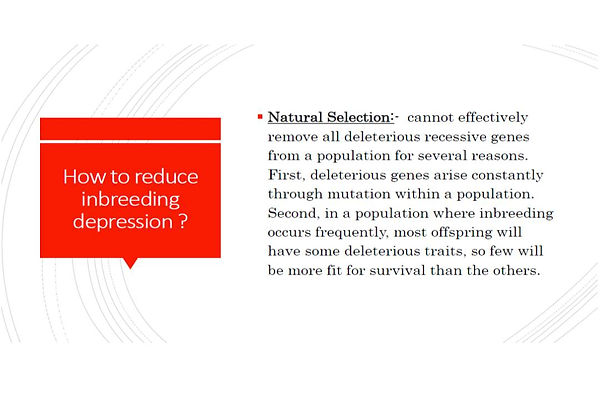 Slide39.JPG