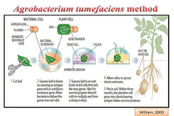 Slide146.JPG