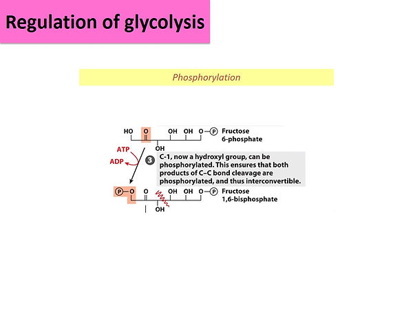 Slide24.JPG