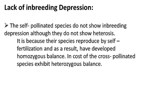 Slide14.JPG