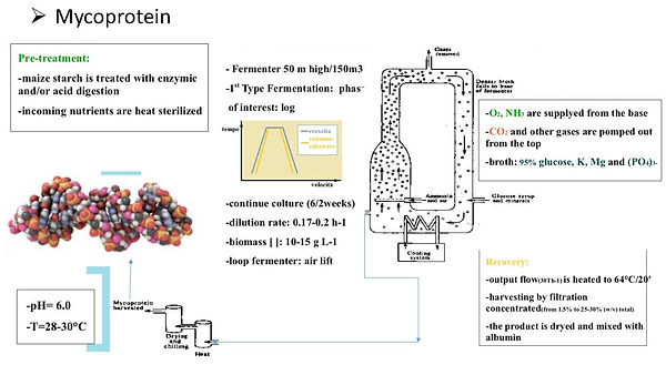 Slide29.JPG