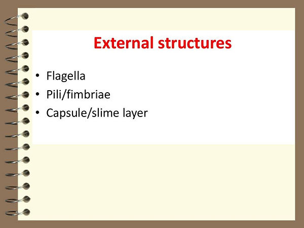 Slide109.JPG
