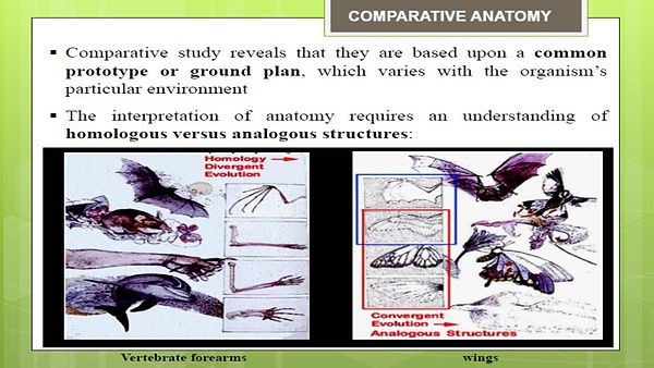 Slide21.JPG